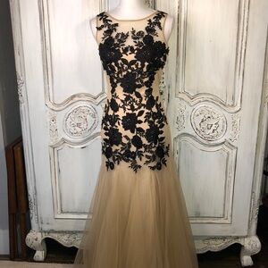 Prom Wedding Occassions FairyCore Dramatic Embroidered Blush Maxi Dress